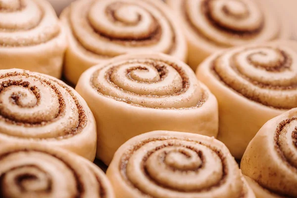 Raw Cinnamon rolls or cinnabon close up — Stock Photo, Image