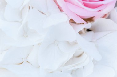 Çiçekler arka planda beyaz ortanca çiçekleri ve pembe güller. Doku, üst manzara, yakın çekim. Çiçekler açan, şenlikli arka plan, pastel ve yumuşak buket çiçekli kart.