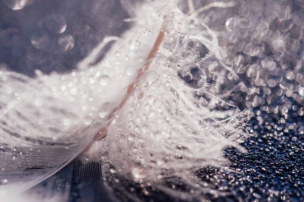 Transparente Wassertropfen Auf Rosa Feder Auf Türkisfarbenem Hintergrund Verträumt Elegantes — Stockfoto