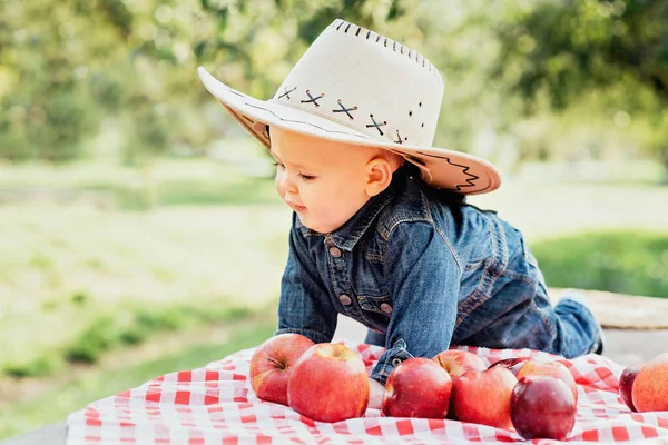 Un chico con Apple en Orchard. Concepto de cosecha. Jardín, Niño comiendo frutas en la cosecha de otoño. Recogida de manzana — Foto de Stock