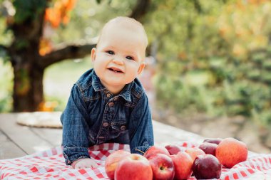 Meyve Bahçesinde Elmalı Çocuk. Hasat Konsepti. Bahçe, bebek sonbahar hasadında meyve yiyor. Elma toplama