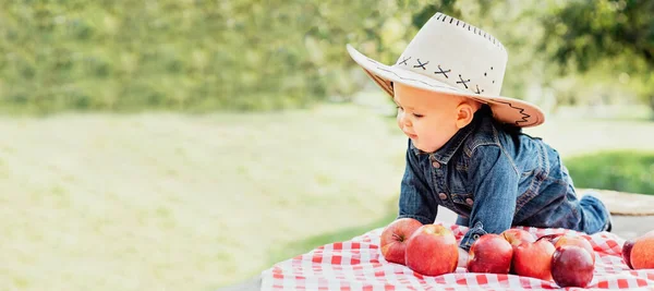 Un chico con Apple en Orchard. Concepto de cosecha. Jardín, Niño comiendo frutas en la cosecha de otoño. Recogida de manzana — Foto de Stock