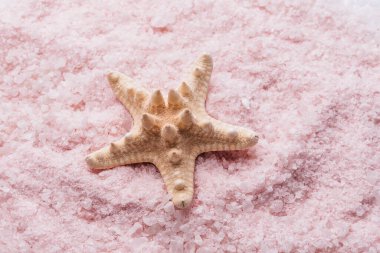 aromatic Lavender Himalayan sea salt. Top view, copy space. Home spa. Aromatherapy