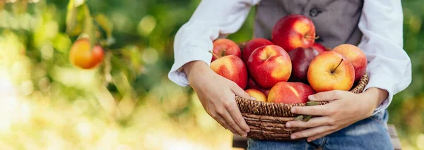 Chica con manzana en el huerto de manzana — Foto de Stock