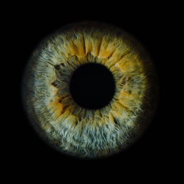 Siyah arka planda insan gözünün makro fotoğrafı