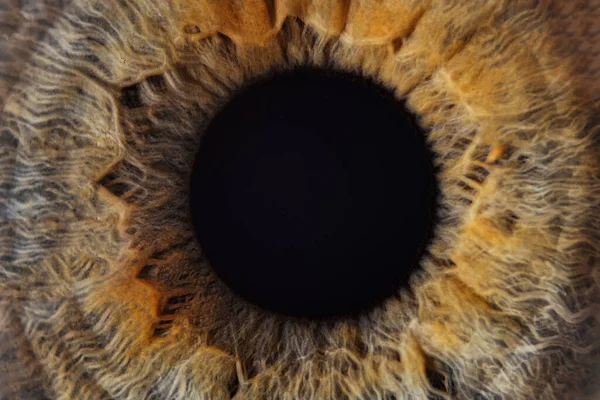 Macro photo of human child eye looking at the side. — Stock Photo, Image