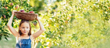 Kafasında elma sepeti olan bir kız. Sonbaharda çiftlikte elma toplayan bir çocuk. Elma ağacı bahçesinde oynayan küçük bir kız. Hasat Konsepti.