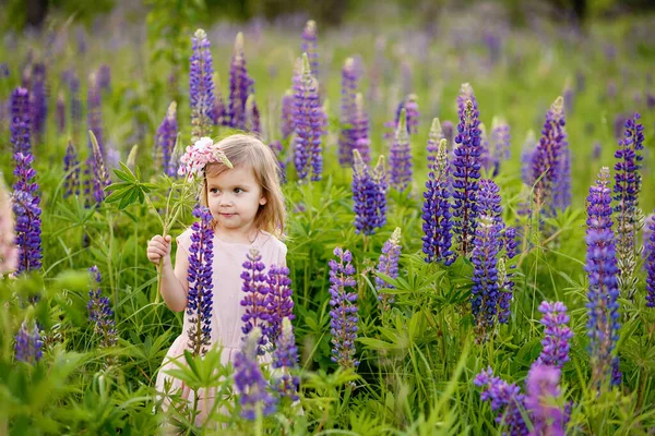 紫色の花の分野で花のルピナスを持つかわいい幸せな2歳の子供の女の子の肖像画 自然概念における子供 夏休み 春のアレルギーシーズン 幼少期 — ストック写真