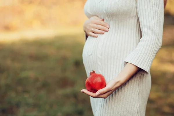pregnant young woman holding pomegranate. Photo of fetal growth 21 week pregnancy. Healthy pregnancy diet. Fertility concept. space for text