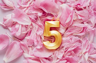 5 numaralı doğum günü mumu pembe çiçek yaprakları üzerinde. Beş yıllık doğum günü. Doğum günü, yıldönümü, önemli tarih, tatil konsepti