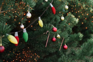 Pine Park 'ta süslenmiş Noel ağacı. Mutlu noeller. Yeni yıl kartı. Tatil Arkaplanı.