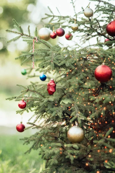 Διακοσμημένο Χριστουγεννιάτικο Δέντρο Στο Πάρκο Πεύκων Καλά Χριστούγεννα Πρωτοχρονιάτικη Κάρτα — Φωτογραφία Αρχείου
