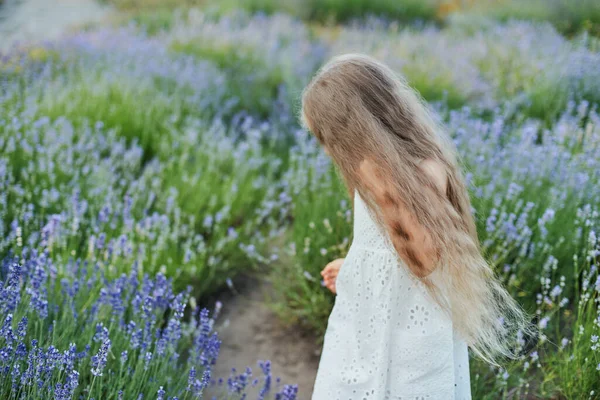 Liten Flicka Lavendelfältet Ungdomar Fantiserar Leende Flicka Sniffande Blommor Sommar — Stockfoto
