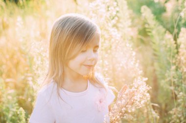 Yaz günbatımında kır çiçekleri tarlasında açık renk elbiseli mutlu küçük kız portresi. Yaşam sevinci konsepti, mutluluk, başarı, seyahat. Gün batımında güneşli bir yaz günü. Mutlu çocukluk