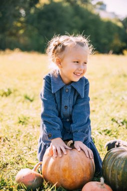 Sonbahar hasadı organik balkabakları ve elmalar. Soğuk sonbahar gününde balkabağı tarlasında küçük mutlu bir kız. Cadılar bayramı için bir sürü balkabağı, Şükran Günü ve kırmızı vagon. Balkabağı tarlasında çocuklar.