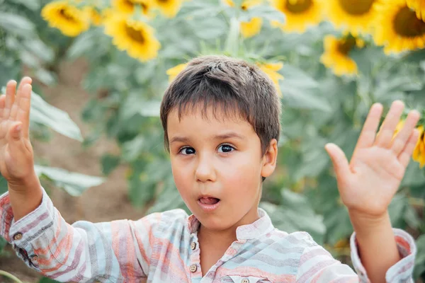 夏のひまわり畑の屋外で愛らしい小さな男の子 緑の畑でひまわりの花を嗅ぐ幸せな子供 ウクライナ農業 — ストック写真