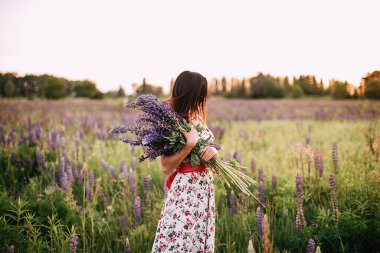 Beautiful young woman holding lupine flowers at sunset on field. concept of nature and romance. Meadow of violet flowers in summer. Enjoying nature and flowers.
