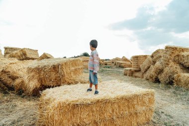 Küçük çocuk tarlada saman balyasının yanında. Çiftlik arazisindeki çocuk. Sonbaharda buğday sarısı altın hasat. Kırsal doğa manzarası.