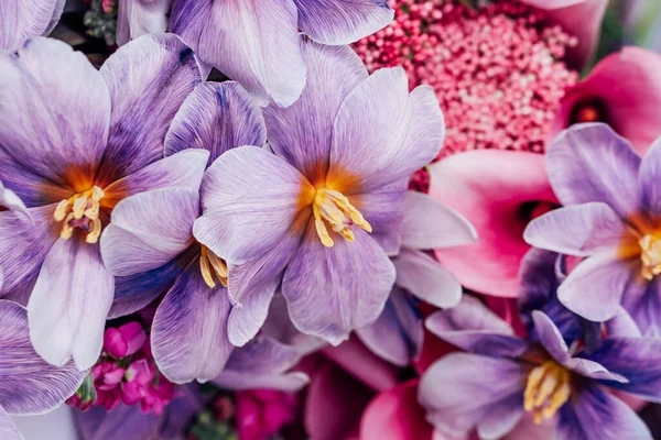Buket Berwarna Ungu Merah Muda Musim Gugur Komposisi Bunga Yang — Stok Foto