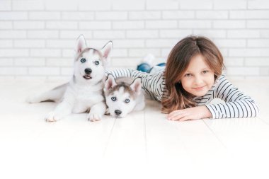 Beyaz arka planda husky köpek yavrusu sarılma Sevimli küçük kız.
