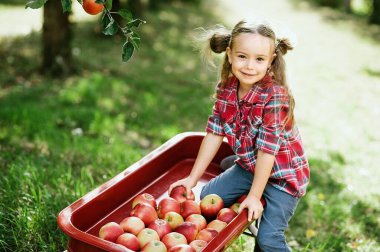 Apple Orchard'da Apple'lı kız. Meyve Bahçesinde Organik Elma ile Güzel Kız. Hasat Konsepti. Bahçe, Bebek sonbahar hasat meyve yeme.