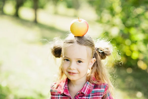 Gadis Dengan Apple Apple Orchard Gadis Cantik Dengan Apel Organik — Stok Foto