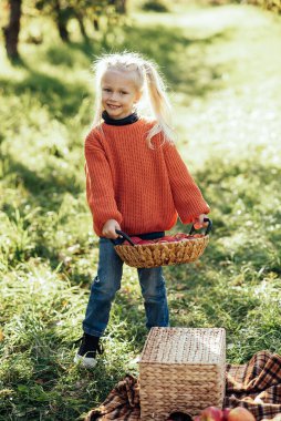 Sonbaharda çiftlikte elma toplayan bir çocuk. Ağaç bahçesinde oynayan küçük kız. Sağlıklı beslenme. Tatlı küçük kız kırmızı lezzetli meyve yiyor. Hasat Konsepti. Elma toplama.