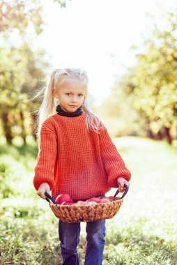 Sonbaharda çiftlikte elma toplayan bir çocuk. Ağaç bahçesinde oynayan küçük kız. Sağlıklı beslenme. Tatlı küçük kız kırmızı lezzetli meyve yiyor. Hasat Konsepti. Elma toplama.