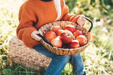 Sonbaharda çiftlikte elma toplayan bir çocuk. Ağaç bahçesinde oynayan küçük kız. Sağlıklı beslenme. Tatlı küçük kız kırmızı lezzetli meyve yiyor. Hasat Konsepti. Elma toplama.