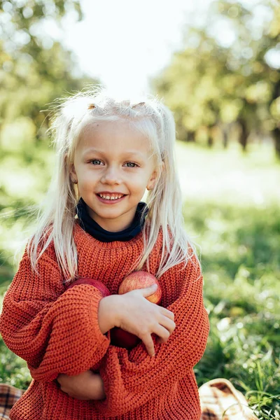 Criança Pegando Maçãs Fazenda Outono Menina Brincando Pomar Árvore Nutrição — Fotografia de Stock