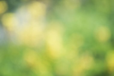 Doğal arka plan defocused, bokeh defocused. Bulanıklık