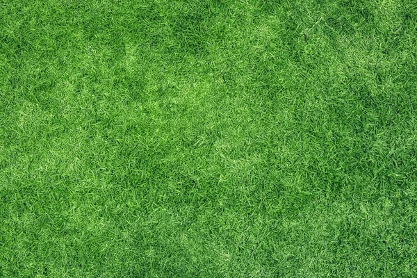 Grüne Gras Hintergrund Textur Bild Von Oben — Stockfoto