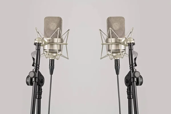 Dva Profesionální Mikrofony Jejich Stánky Mic Šedém Pozadí — Stock fotografie