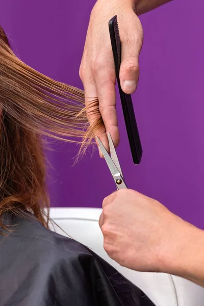 Peluquería Cortando Pelo Una Mujer Cabello Castaño Fondo Violeta —  Fotos de Stock