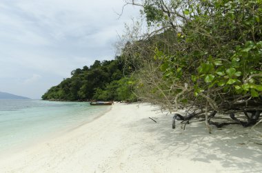 güzel andaman kristal deniz