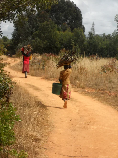 Mujeres africanas con cubos de agua y leña Tanzania - Afri — Foto de Stock