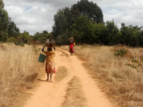 Las mujeres africanas con cubos de agua y leña Tanzania  - — Foto de Stock