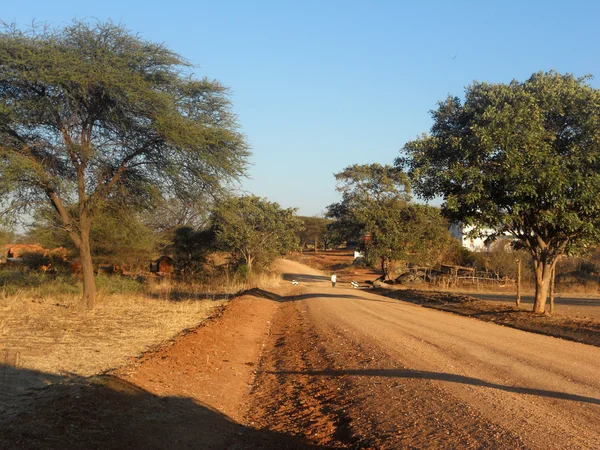 Africká krajina - Tanzanie - Afrika 004 — Stock fotografie