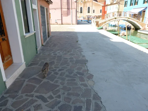 Vida na Lagoa - Burano - Itália - 665 — Fotografia de Stock