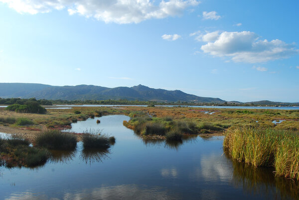 The pond of San Teodoro - Sardinia - Italy - 577