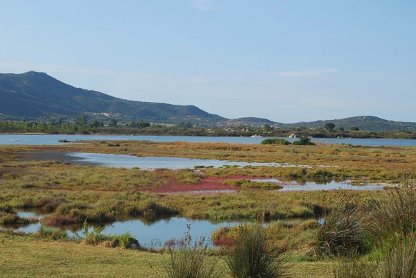 A lagoa de San Teodoro - Sardenha - Itália - 604 — Fotografia de Stock