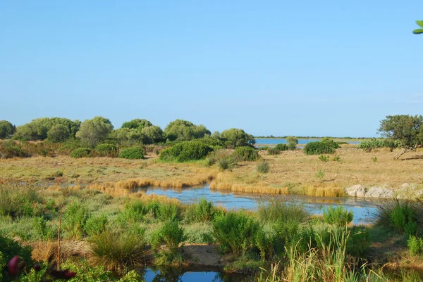 De vijver van san teodoro - Sardinië - Italië - 625 — Stockfoto