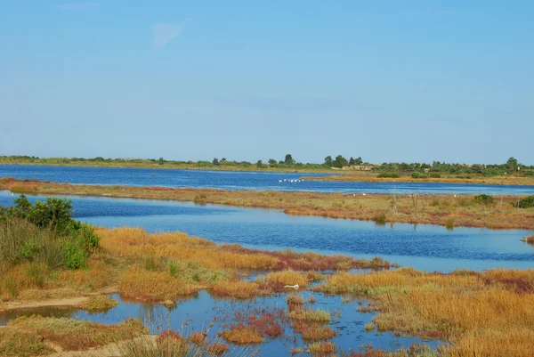 De vijver van san teodoro - Sardinië - Italië - 636 — Stockfoto