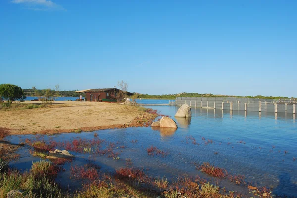 Pobřeží Sardinie - san teodoro - Itálie - 679 — Stock fotografie