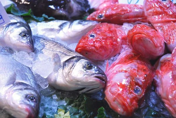 At the market 273 - the fish counter — Stock Photo, Image