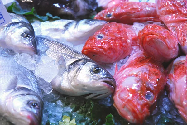 No mercado 272 - o balcão de peixe — Fotografia de Stock