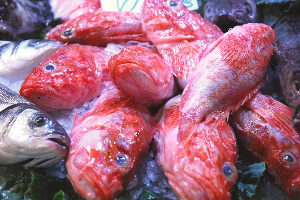 No mercado 270 - o balcão de peixe — Fotografia de Stock