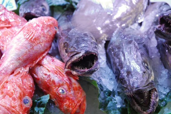 En el mercado 267 - el mostrador de pescado — Foto de Stock