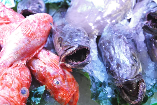 No mercado 266 - o balcão de peixe — Fotografia de Stock