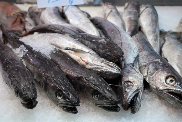 No mercado 265 - o balcão de peixe — Fotografia de Stock